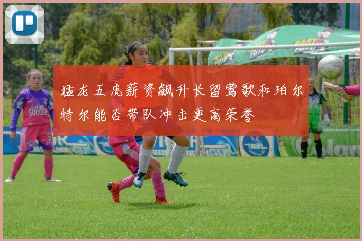 猛龙五虎薪资飙升长留莺歌和珀尔特尔能否带队冲击更高荣誉