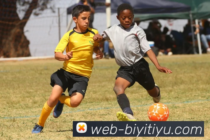 必一体育平台生态图