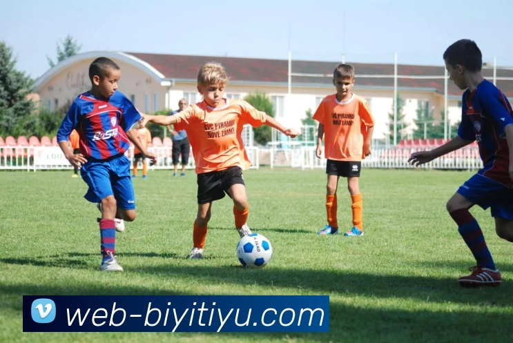 必一体育全站App